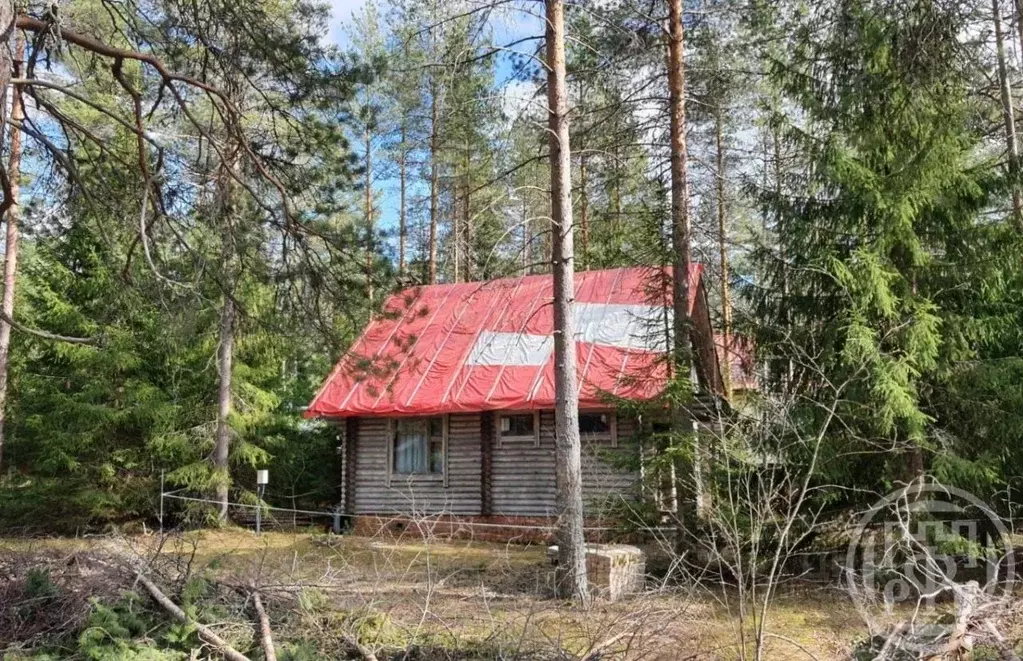 Дом в Ленинградская область, Выборгский район, Первомайское с/пос, ... - Фото 2