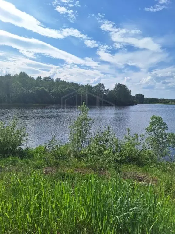 Участок в Московская область, Сергиево-Посадский городской округ, ... - Фото 0