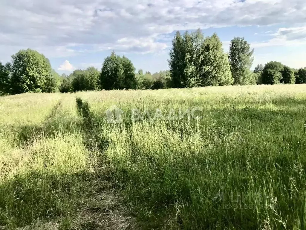Участок в Вологодская область, Кирилловский муниципальный округ, д. ... - Фото 1