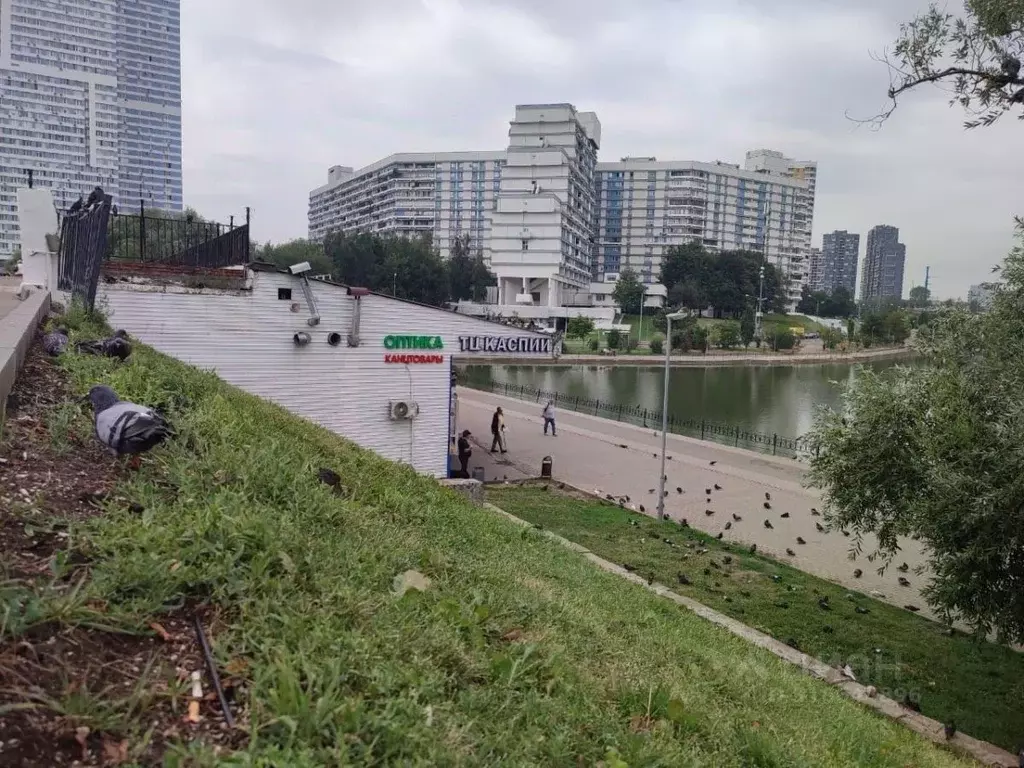 Помещение свободного назначения в Москва Северное Чертаново мкр, к208 ... - Фото 1