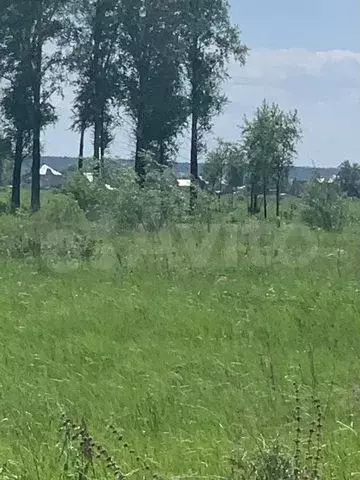 Участок 10 сот. (СНТ, ДНП) - Фото 0