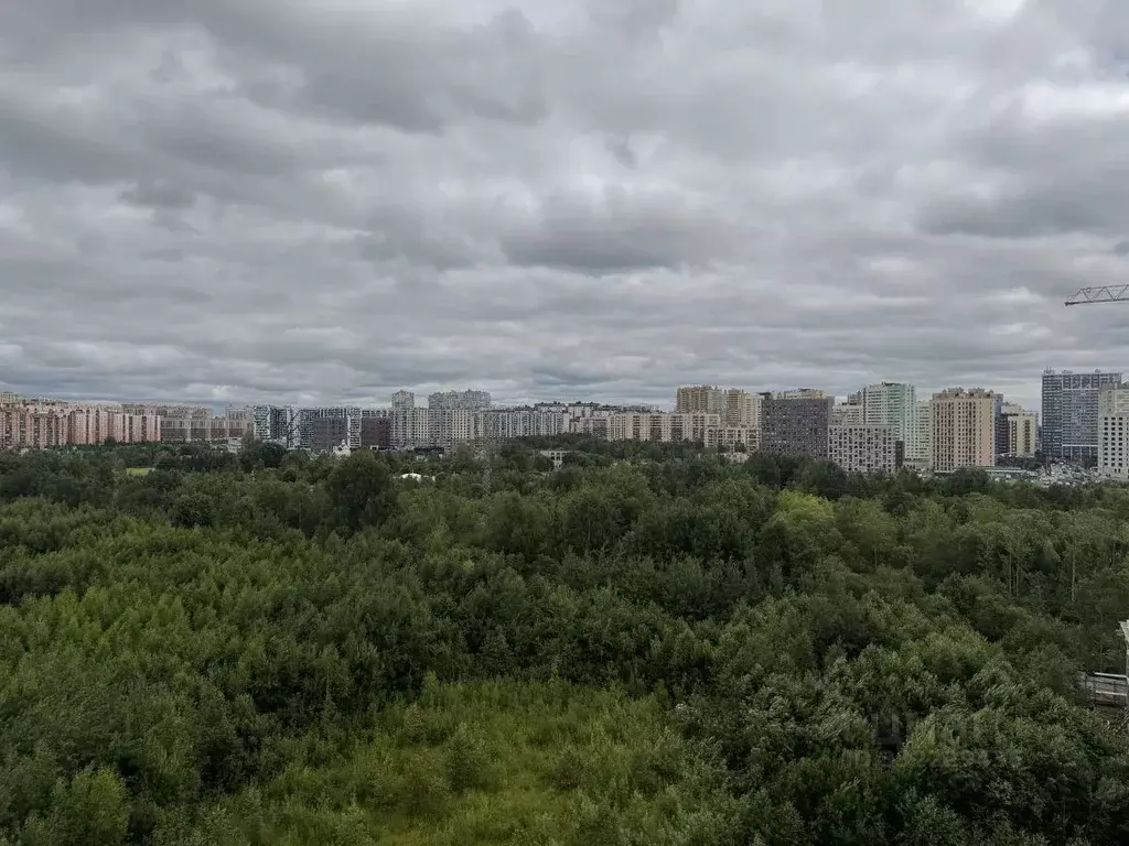 Студия Санкт-Петербург ул. Крыленко, 36к2 (23.9 м) - Фото 2