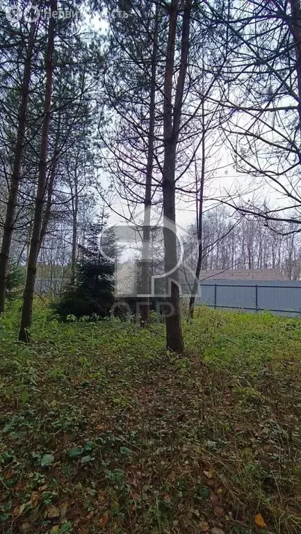 Участок в Московская область, городской округ Щёлково, территория ... - Фото 1