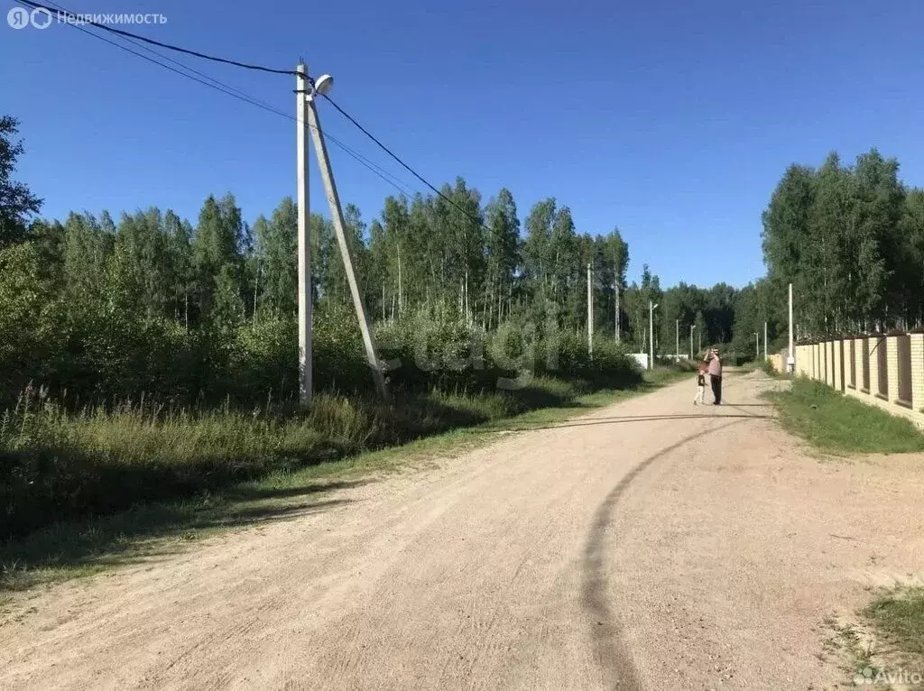 Участок в Ярославский муниципальный округ, деревня Климатино (20 м) - Фото 0