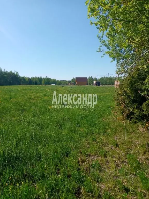 Участок в Ленинградская область, Выборгский район, Советское городское ... - Фото 1