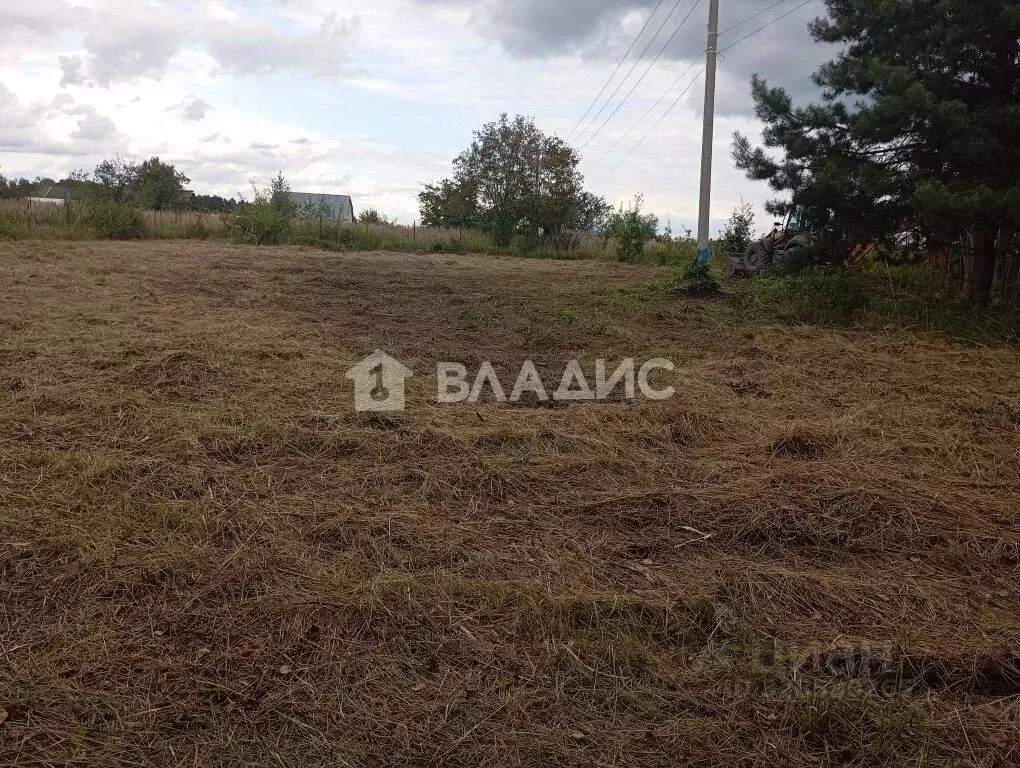 Участок в Московская область, Егорьевск муниципальный округ, д. Бруски ... - Фото 1