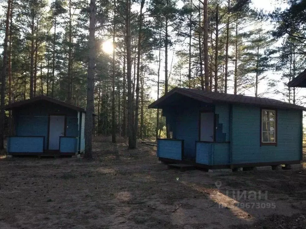 Дом в Ленинградская область, Ломоносовский район, Лебяженское ... - Фото 2
