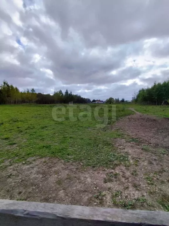 Участок в Ленинградская область, Кировский район, Путиловское с/пос, ... - Фото 1