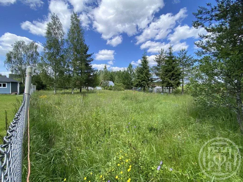 Участок в Ленинградская область, Ломоносовский район, Пениковское ... - Фото 1