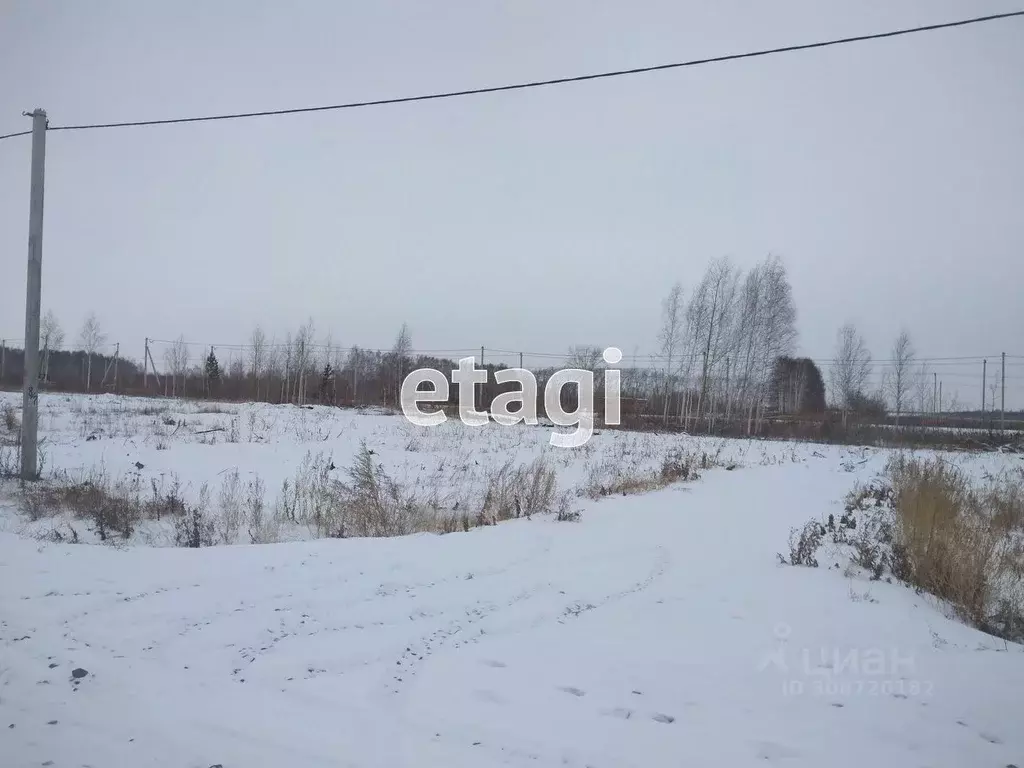 Участок в Тюменская область, Ишимский район, с. Гагарино  (15.02 сот.) - Фото 0