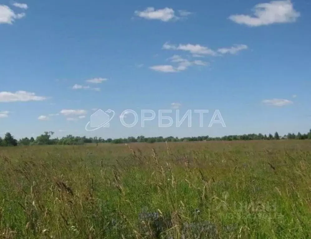 Участок в Тюменская область, Тюменский муниципальный округ, с. ... - Фото 2