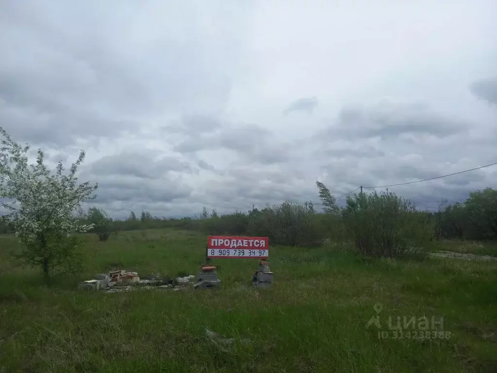 Участок в Тюменская область, Тюменский муниципальный округ, Горячий ... - Фото 1