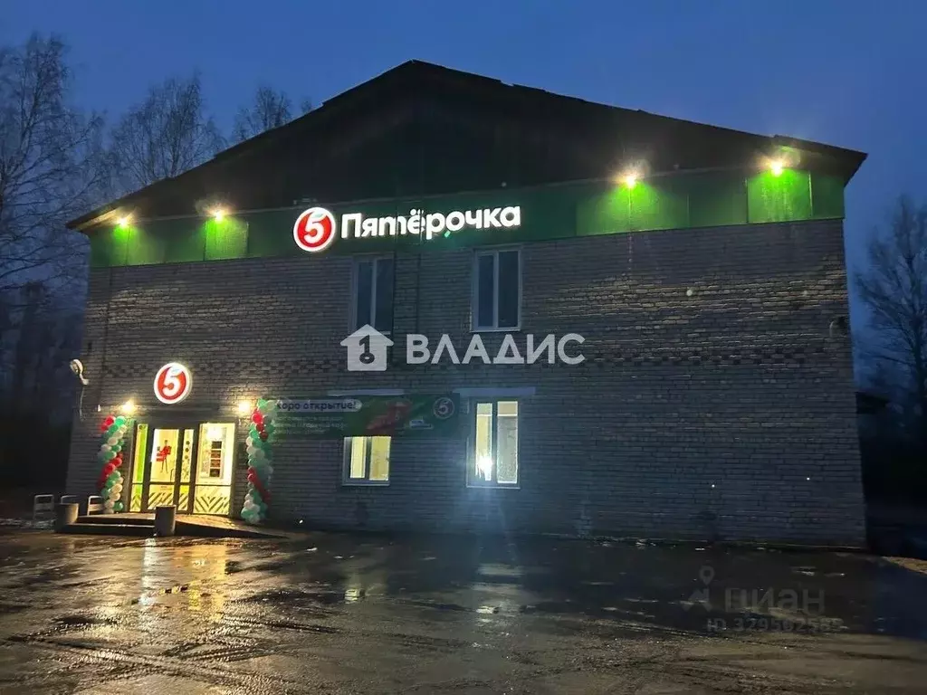 Помещение свободного назначения в Нижегородская область, Шахунья ... - Фото 1