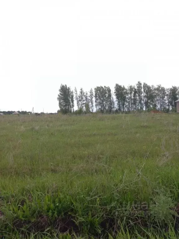 Участок в Башкортостан, Уфа городской округ, д. Елкибаево ул. Деловая, ... - Фото 1
