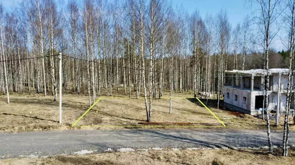 Участок в Ленинградская область, Всеволожский район, Куйвозовское ... - Фото 2