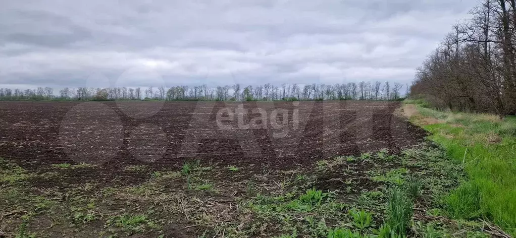 Участок 6,3 сот. (ИЖС) - Фото 0