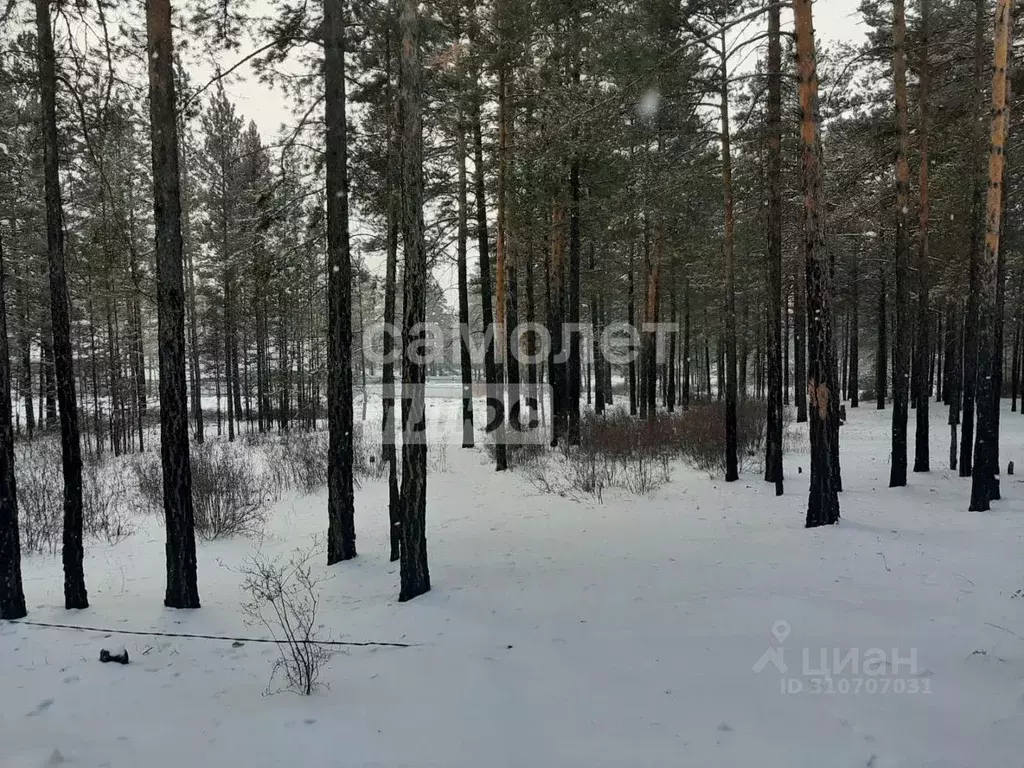 Участок в Забайкальский край, Читинский район, Атамановка пгт  (10.0 ... - Фото 1