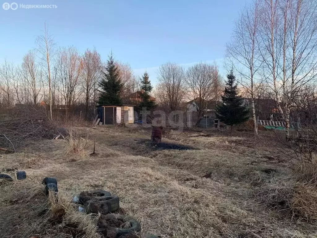 Дом в Ярославский муниципальный округ, СНТ Бор (25 м) - Фото 1