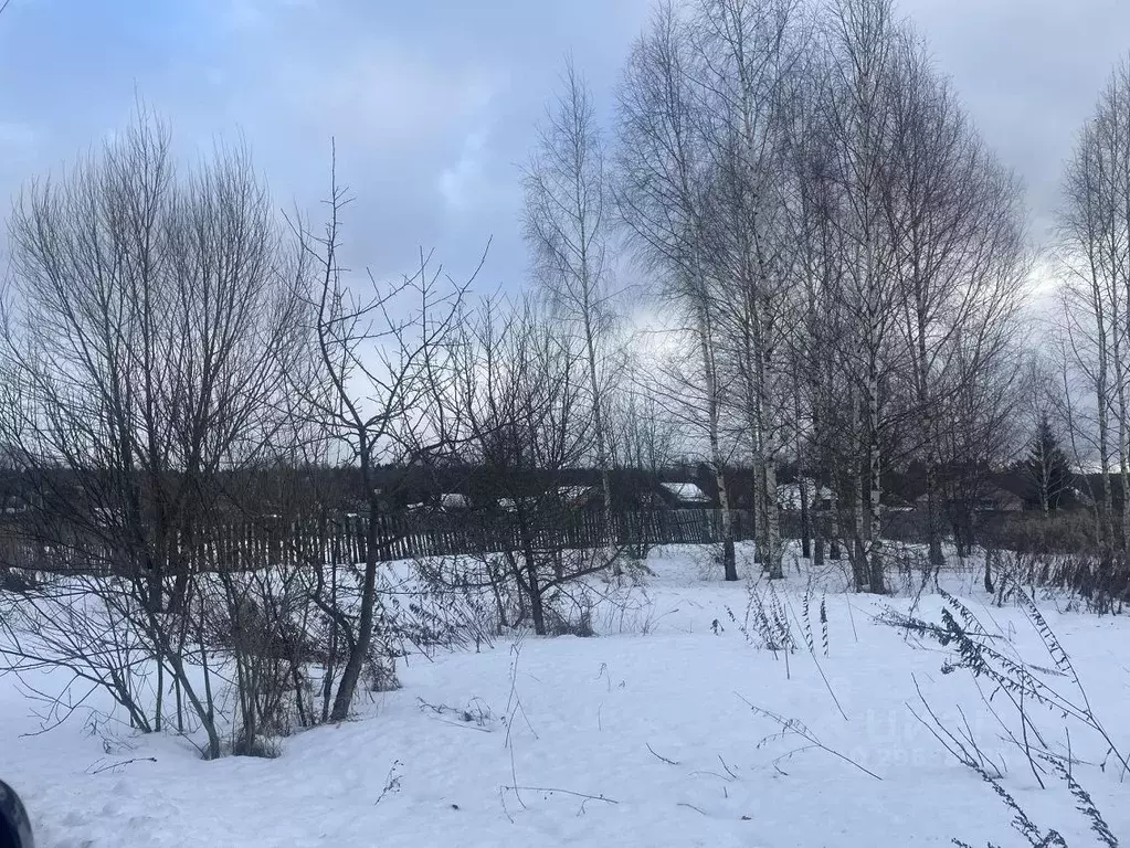 Участок в Тверская область, Конаковский муниципальный округ, д. ... - Фото 2