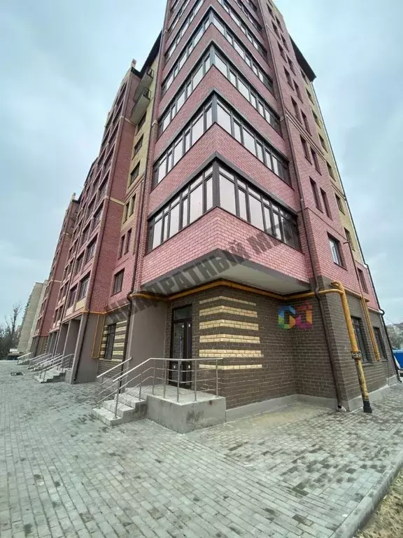 Помещение свободного назначения в Калмыкия, Элиста ул. Имени Н.С. ... - Фото 1