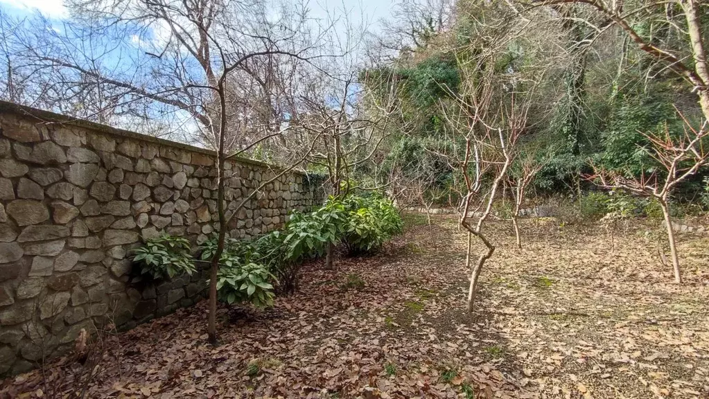 Участок в Крым, Ялта муниципальный округ, Массандра пгт ул. Совхозная ... - Фото 2