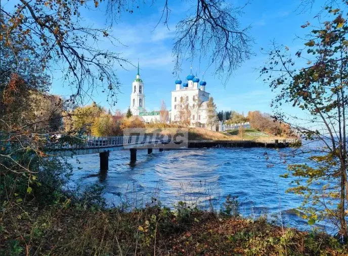 Участок в Нижегородская область, Чкаловск муниципальный округ, с. ... - Фото 1