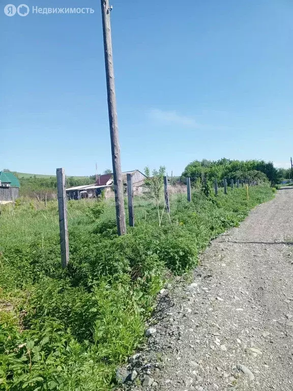 Участок в село Алтайское, улица Ленина (7 м) - Фото 1