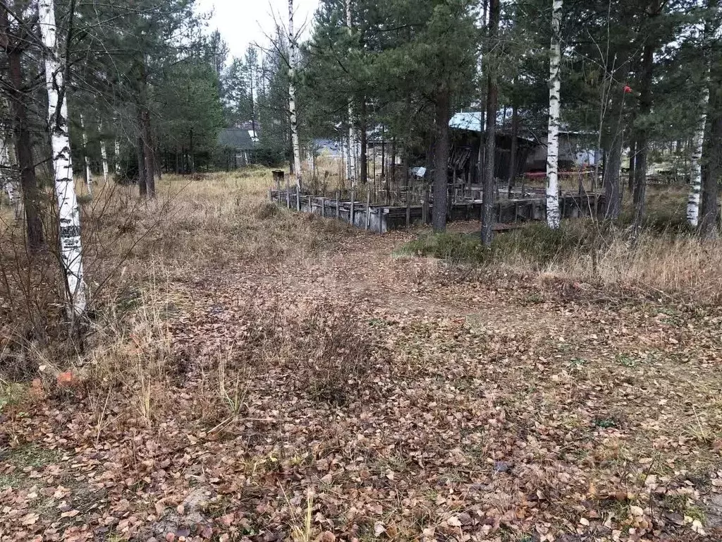 Участок в Коми, Сыктывдинский район, Выльгорт муниципальное ... - Фото 1