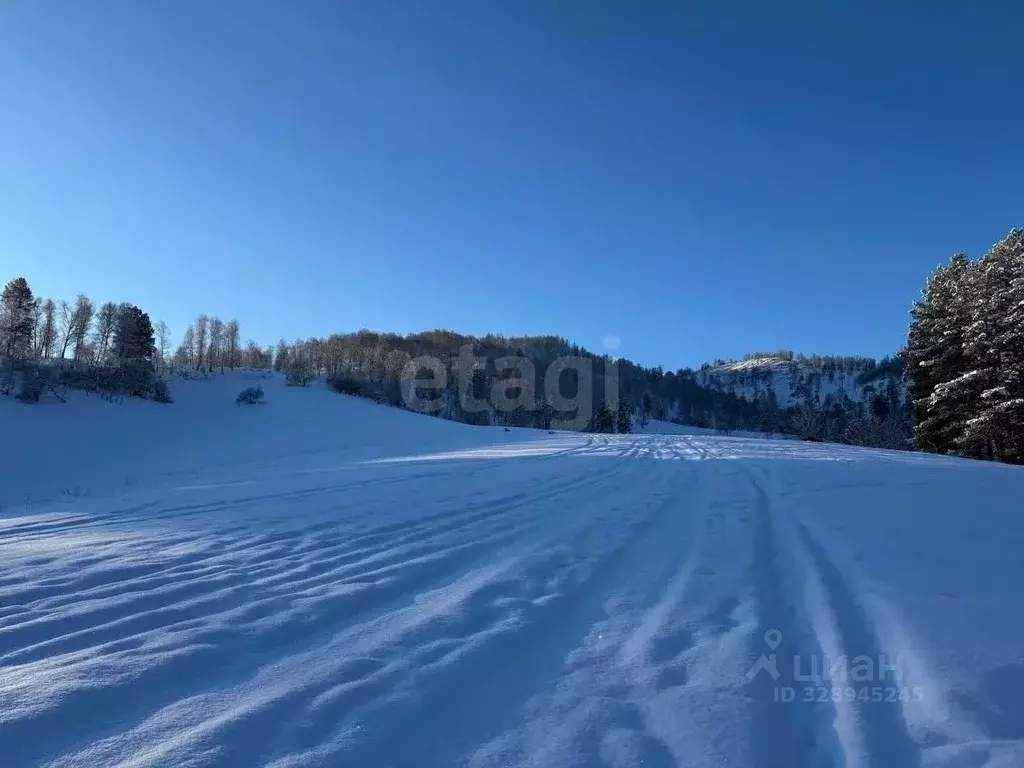 Участок в Алтай, Чемальский район, Узнезинское с/пос, с. Узнезя  (10.7 ... - Фото 1
