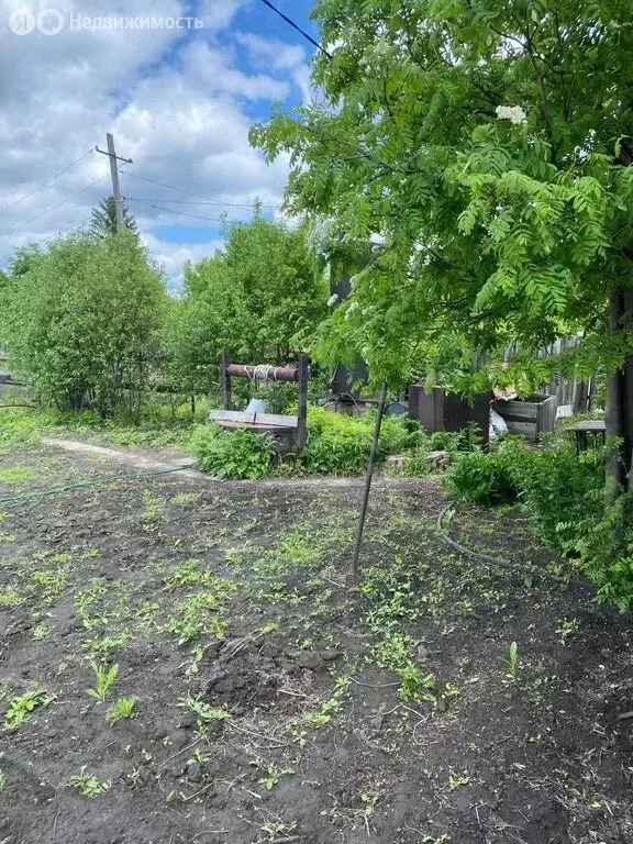 Участок в Омск, территория СОСН Степняк-1 (875 м) - Фото 1