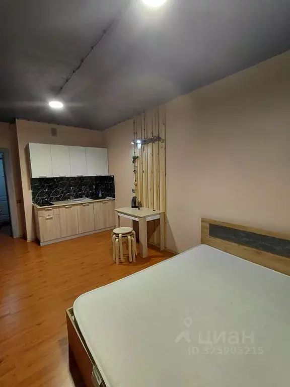 Студия Самарская область, Волжский район, Лопатино с/пос, пос. ... - Фото 2