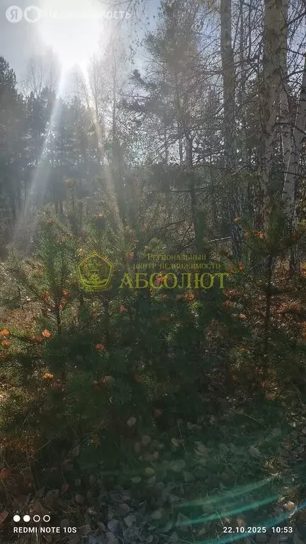 Участок в Дегтярск, Садовая улица, 9А (20 м) - Фото 2