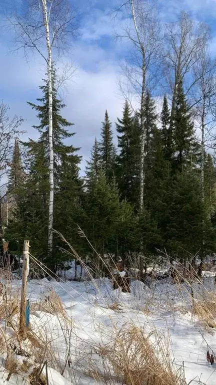 Участок в Кемеровская область, Кемерово Славянская ул., 71 (12.0 сот.) - Фото 1