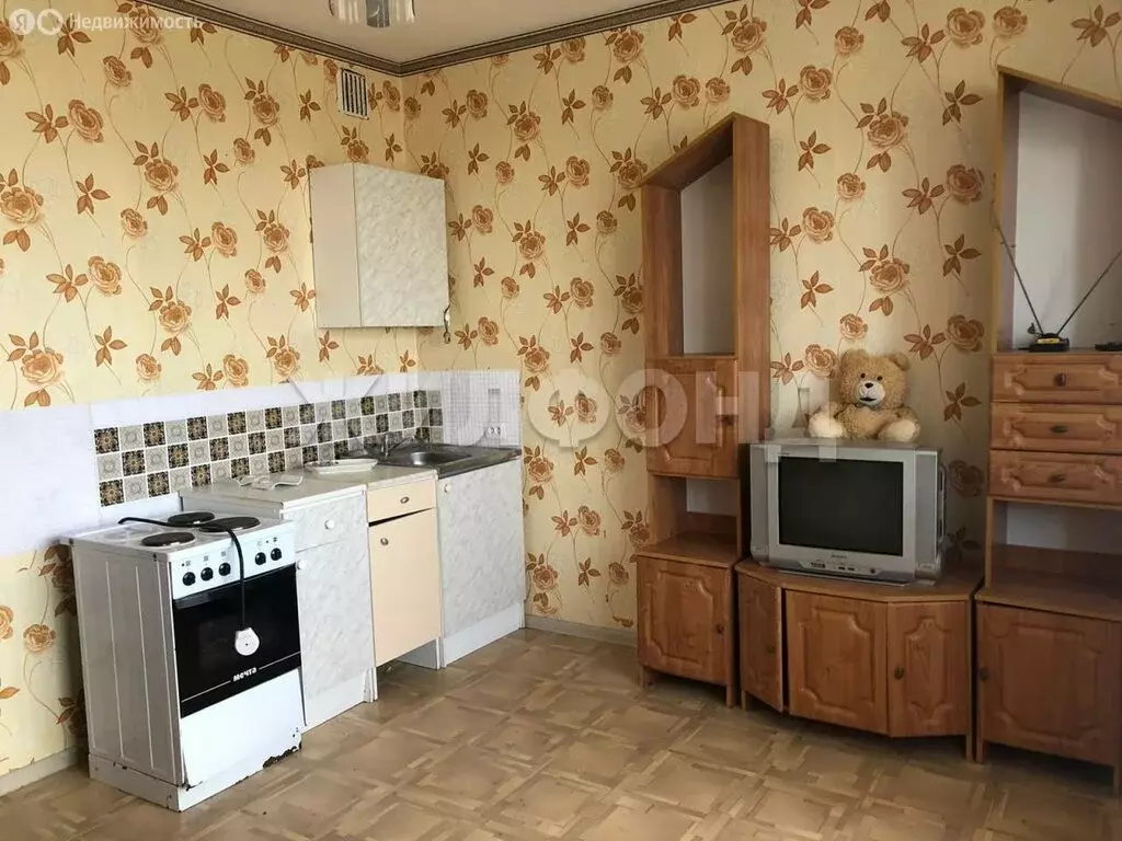 Квартира-студия: Новосибирск, улица Одоевского, 1/8 (20 м) - Фото 1