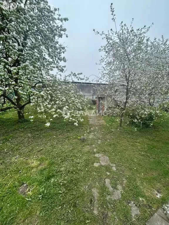 Дом в Калининградская область, Зеленоградский муниципальный округ, ... - Фото 2