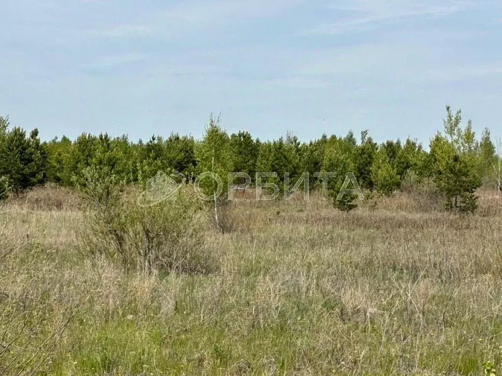 Участок в Тюменская область, Тюменский район, с. Горьковка Сибирская ... - Фото 0