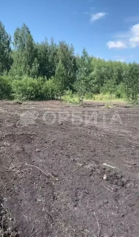 Участок в Тюменская область, Тюменский район, д. Ушакова  (6.0 сот.) - Фото 0