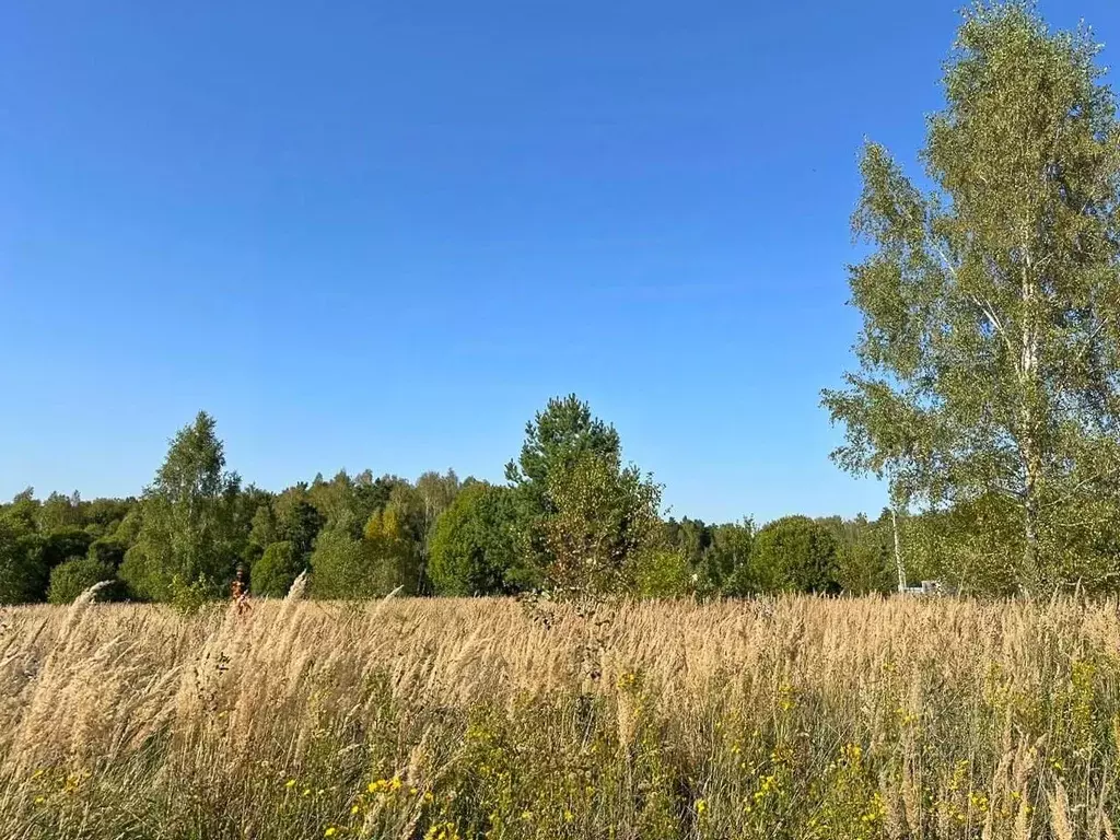Участок в Калужская область, Тарусский муниципальный округ, Похвиснево ... - Фото 1