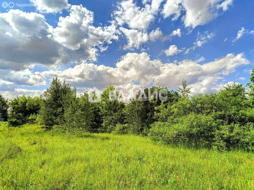 Участок в Московская область, Раменский муниципальный округ, деревня ... - Фото 1
