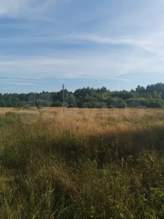 Участок 1,92 га (ИЖС) - Фото 0
