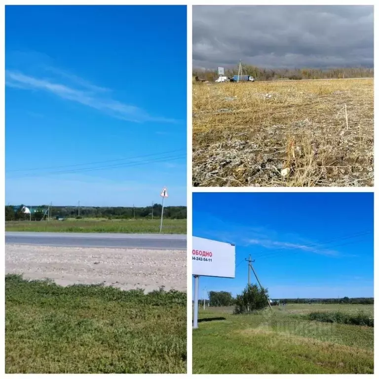 Участок в Саратовская область, Энгельсский район, Красноярское ... - Фото 2