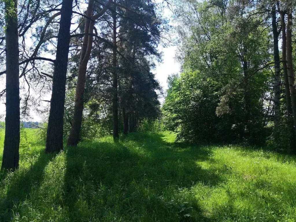 Участок в Московская область, Серпухов городской округ, д. Акулово  ... - Фото 2