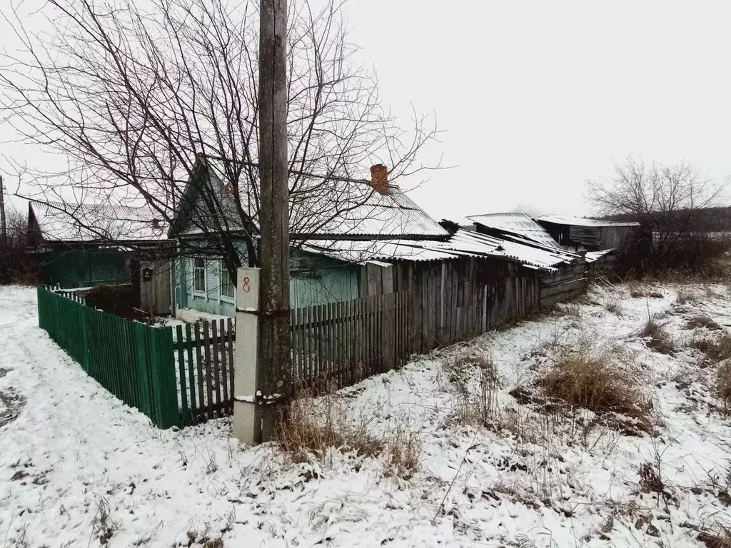 Дом в Иркутская область, Тулунский район, д. Нижний Манут Набережная ... - Фото 1