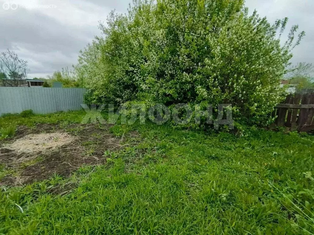 Участок в Новосибирск (6.5 м) - Фото 1