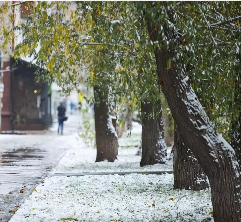 Офис в Ивановская область, Иваново ул. Колотилова, 39 (41 м) - Фото 0