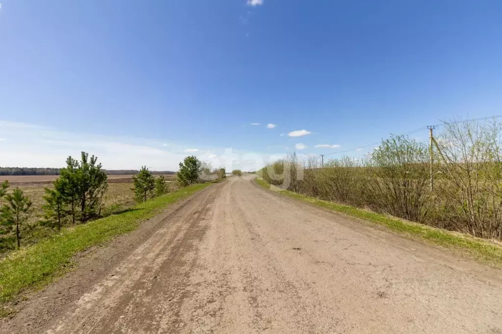 Участок в Тюменская область, Тюменский муниципальный округ, с. Кулига  ... - Фото 1