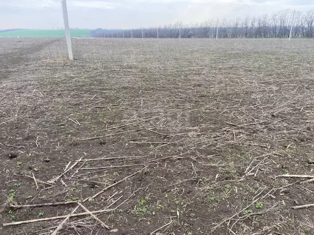 Участок в Ростовская область, Мясниковский район, с. Большие Салы ул. ... - Фото 1