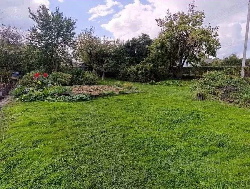 Дом в Новгородская область, Старая Русса ул. Введенская, 38 (35 м) - Фото 1