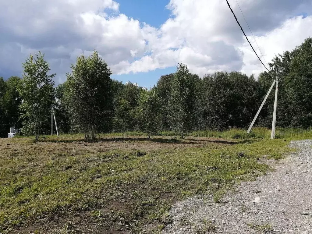 Участок в Новосибирская область, Искитимский район, Морозовский ... - Фото 1