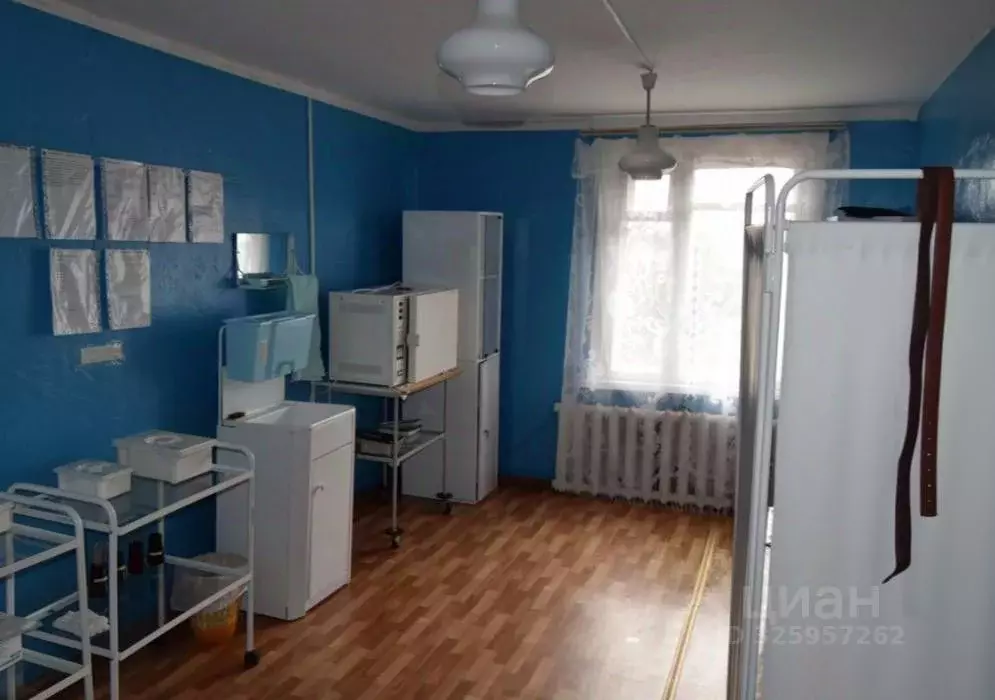 Помещение свободного назначения в Курганская область, Целинный ... - Фото 1